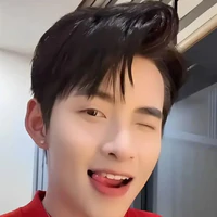 Huỳnh Hoàng Hùng_gemmini Hùng Huỳnh