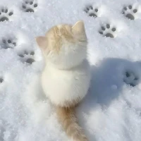 con t/g 《YamJin》