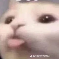 ？？？