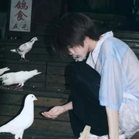 Trương Vũ