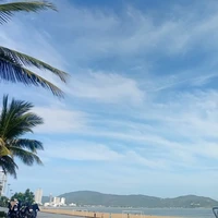 kênh chính phủ