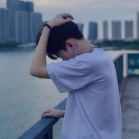 Lưu Diệp