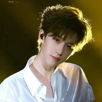 Hạ Tuấn Lâm (em)