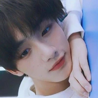 Đinh Trình Hâm(🦊)