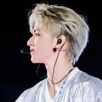 Lưu Diệu Văn(🐺)