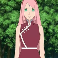 Hyuga ( Haruno ) Sakura
