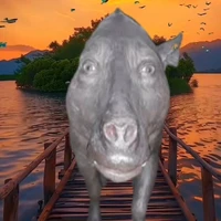 t/g 👽