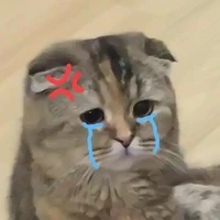 Ngàn Ưng