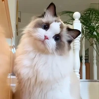 (hệ thống chủ) Lina