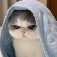 (Hệ thống chủ) Tina