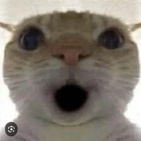 t/g