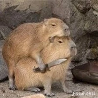 con t/g bị ngáo😃