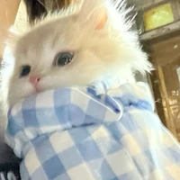 Su Su