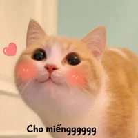 hệ thống