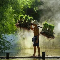 Ông Hoàng – Cha Đức Duy