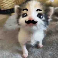 Maru