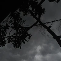 Chủ tus nè