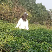 T.Dương(em gái Rhy)