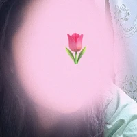 T. Ngân