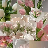 Tg hơi đạo lí