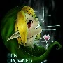 Ben Drowned_{công3}Thứ Kí HP
