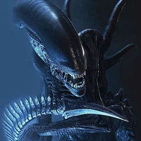 Xenomorph(Drone)