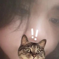 tổng tài skibidi yêu em