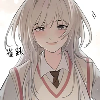 Y/N