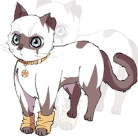 Borou