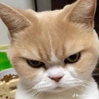 Trần Hải Đăng-hải đăng doo