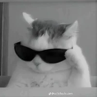 nhóm bot