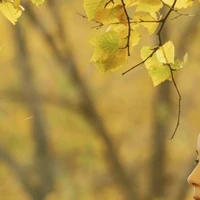 Thượng Thư Bộ Lễ.