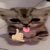 Chuyên viết truyện âm-dương 🥰