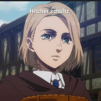 Hitcher schultz