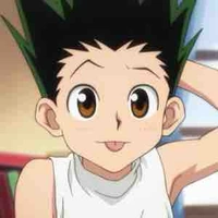 Gon Freecss