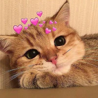 T/G