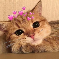 T/G