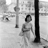 Nvp nữ