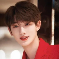 Đinh Trình Hâm ( hiện đại)