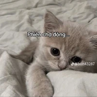 Phiên chợ đông:))