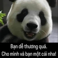 cả lớp