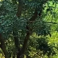 thế giới menma (trừ ai cần trừ)