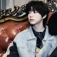 Trần Dịch Hằng_