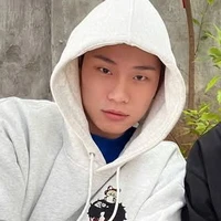 dương Domic