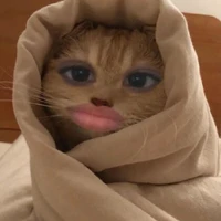 t/g xàm lon nè