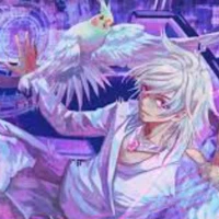 hiha hologram