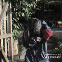 Lê Quang Dương