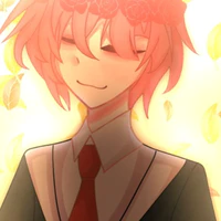 TT hiha