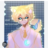 hiha anti catnap