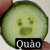 hệ thống 9612 {shii}